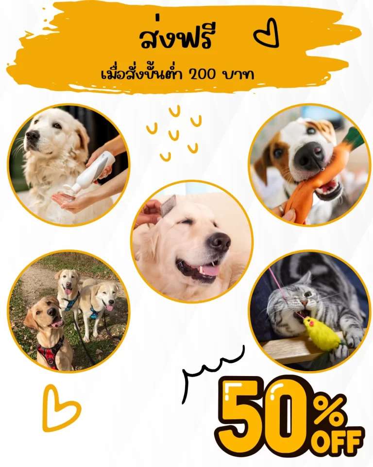 Orange White Modern Clean Pet Care Service Presentation (1,080 x 1,350 px) (1)