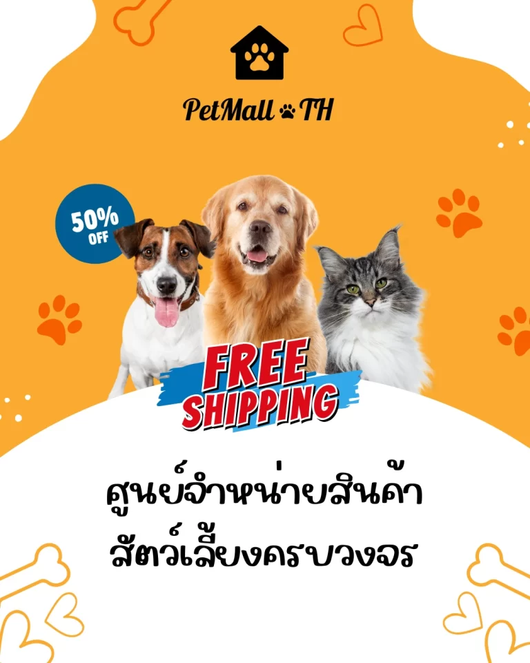 Orange White Modern Clean Pet Care Service Presentation (1,080 x 1,350 px)