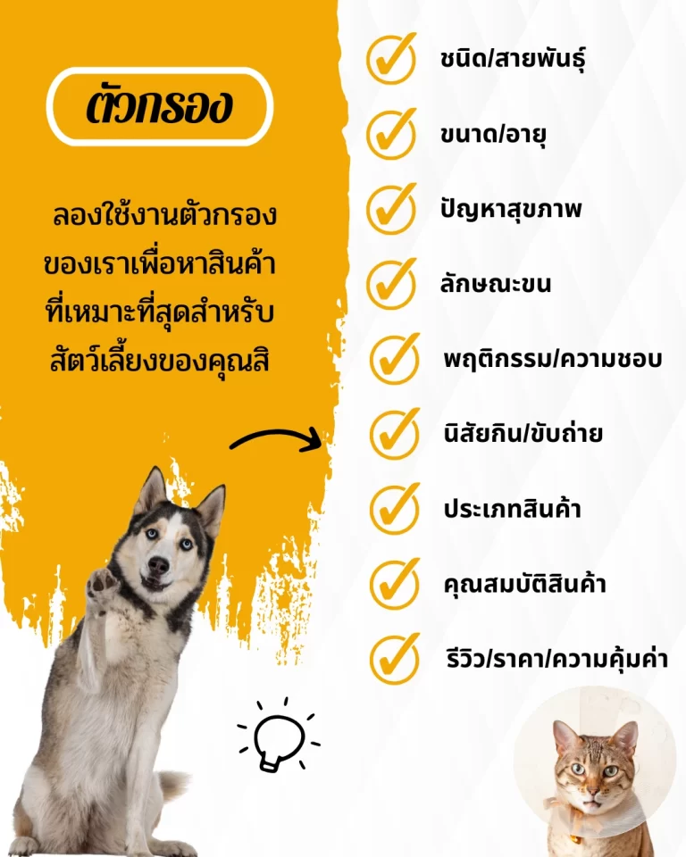 Orange White Modern Clean Pet Care Service Presentation (1,080 x 1,350 px)